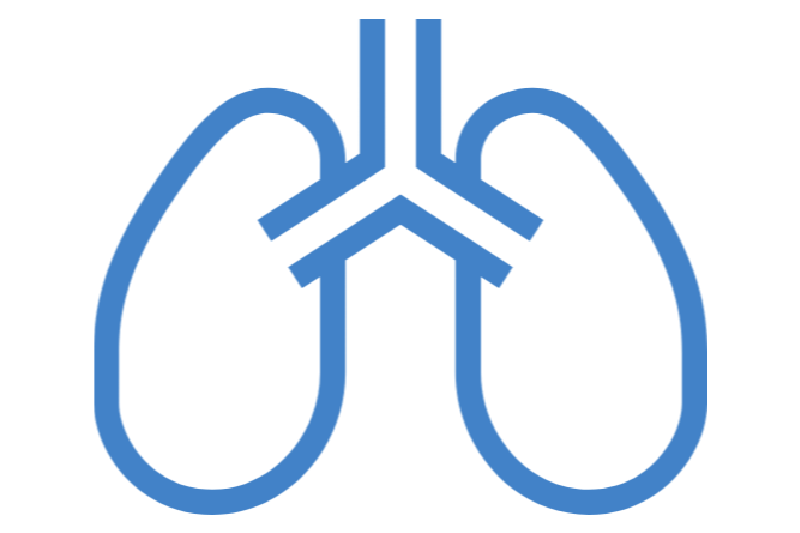 肺のアイコン